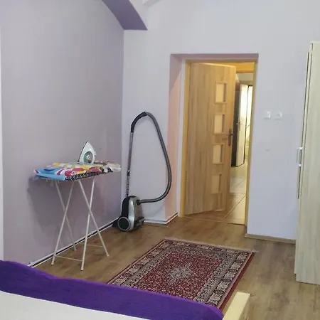 Teplice Apartment *